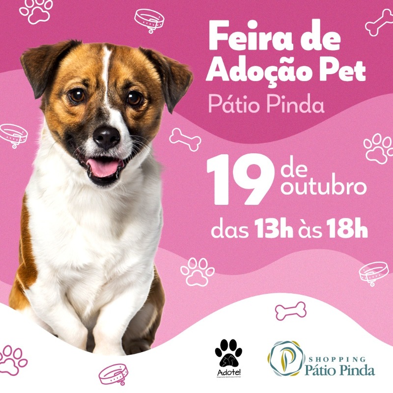 Feira de Adoção