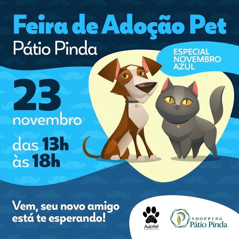 Feira de Adoção