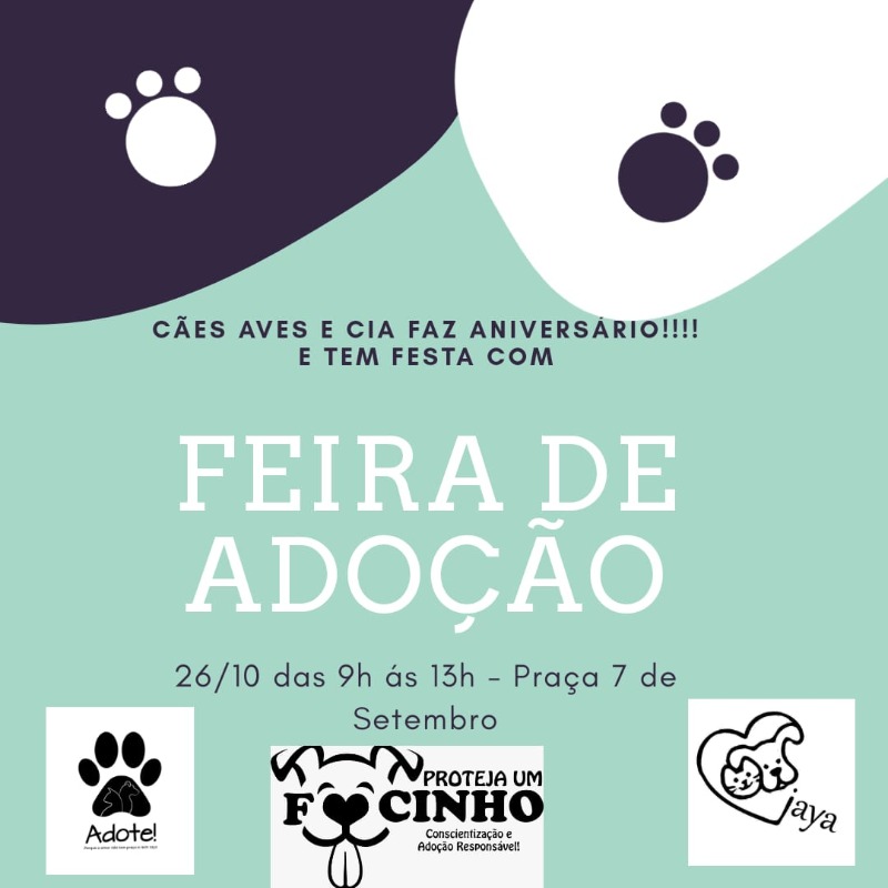 Feira de Adoção